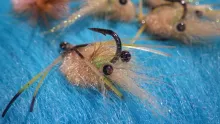Video thumb for Hooligan Crab