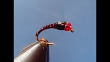 Video thumb for Herl Midge