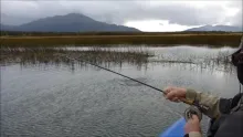 Video thumb for Patagonia Vibes