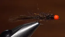 Video thumb for Egg Sucking Leech