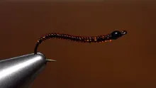 Video thumb for Ken's Crystal Worm