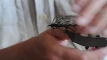 Video thumb for Christmas Tree