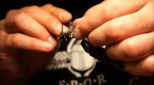 Video thumb for Wasp in 194 seconds