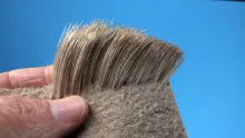Video thumb for Stacking Deer, Elk & Moose