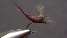 Video thumb for Extended Body Isonychia Parachute