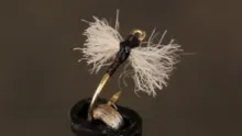 Video thumb for Trico Spinner