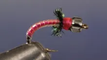 Video thumb for Disco Midge