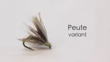 Video thumb for Peute Variant