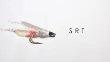Video thumb for SRT