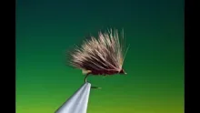 Video thumb for Hot Spot Sedgehog