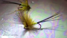 Video thumb for McPhail CDC Mafly