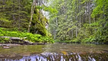 Video thumb for River Treasures of Slovakia