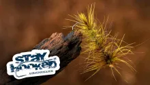 Video thumb for Flexi Ragworm