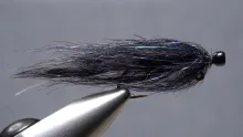 Video thumb for Balanced Leech - Bruised