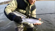 Video thumb for Cold Days on the Coast