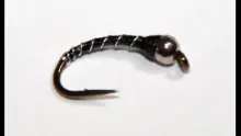 Video thumb for Zebra Midge