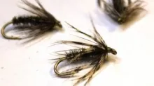 Video thumb for Peacock and Partridge