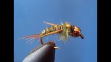 Video thumb for Evil Weevil