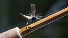 Video thumb for The Rod
