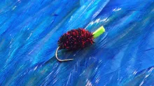 Video thumb for Mulberry Fly