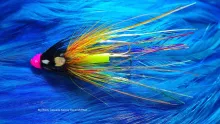 Video thumb for BB Cascade