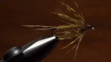 Video thumb for Carey Special