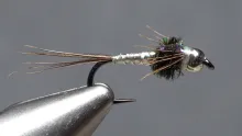 Video thumb for Lightning Bug