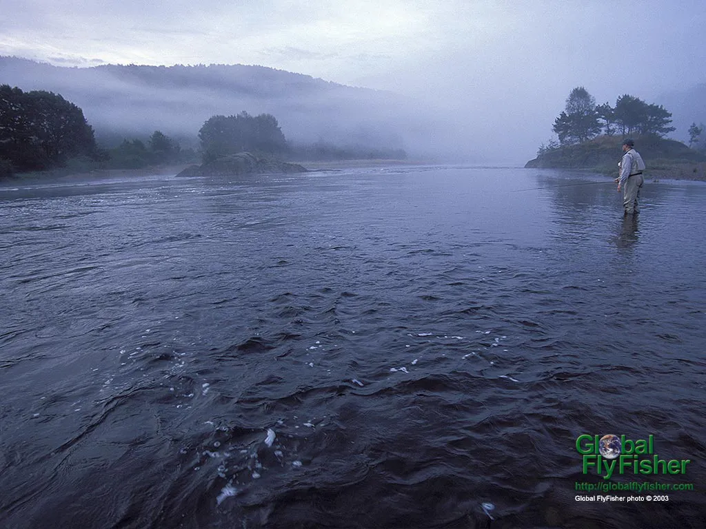 Computer screen wallpaper: Morning mist on the Mandal